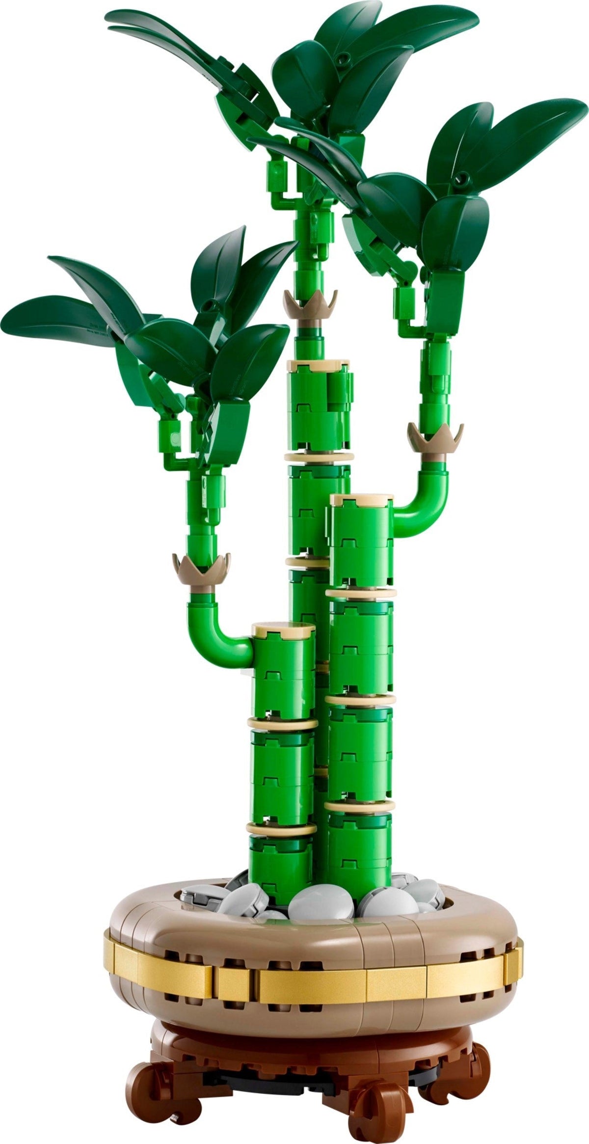 10344 Lucky Bamboo product image 2, provided for visual reference and product detail review