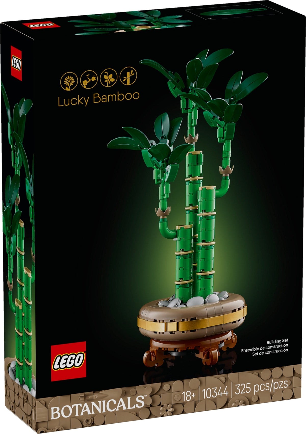 10344 Lucky Bamboo product image 1, provided for visual reference and product detail review