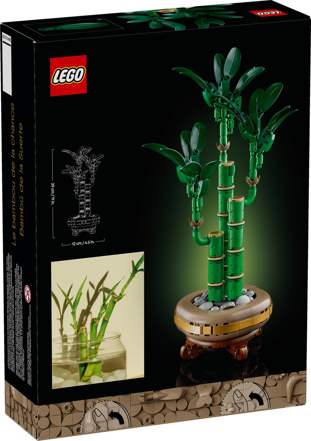10344 Lucky Bamboo product image 3, provided for visual reference and product detail review