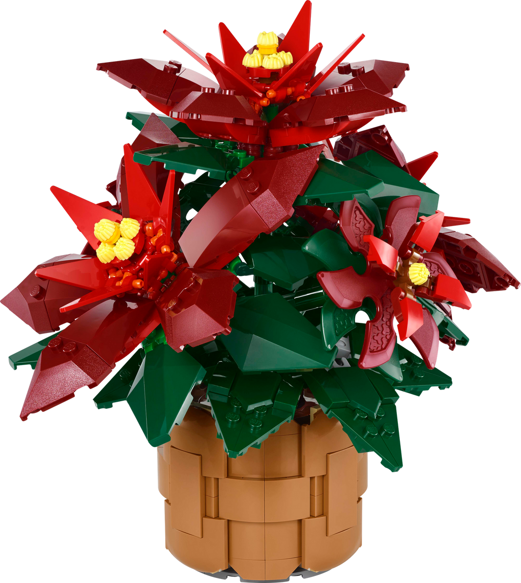 10370 Poinsettia Plant product image 2, provided for visual reference and product detail review