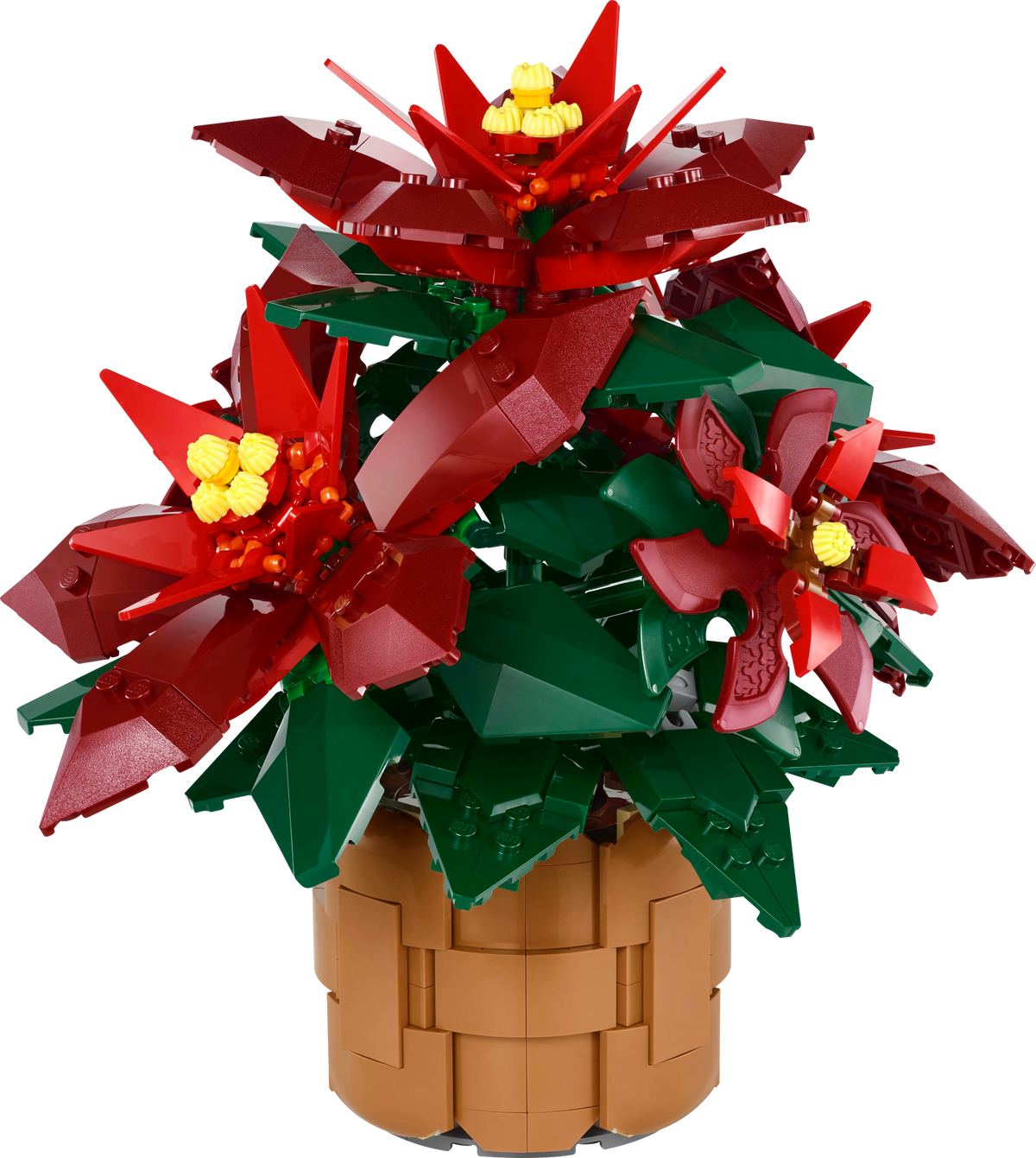 10370 Poinsettia Plant product image 2, provided for visual reference and product detail review