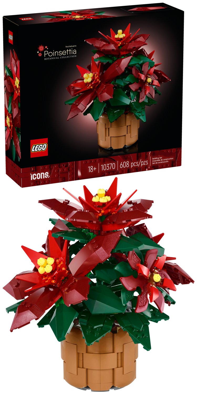 10370 Poinsettia Plant product image 3, provided for visual reference and product detail review