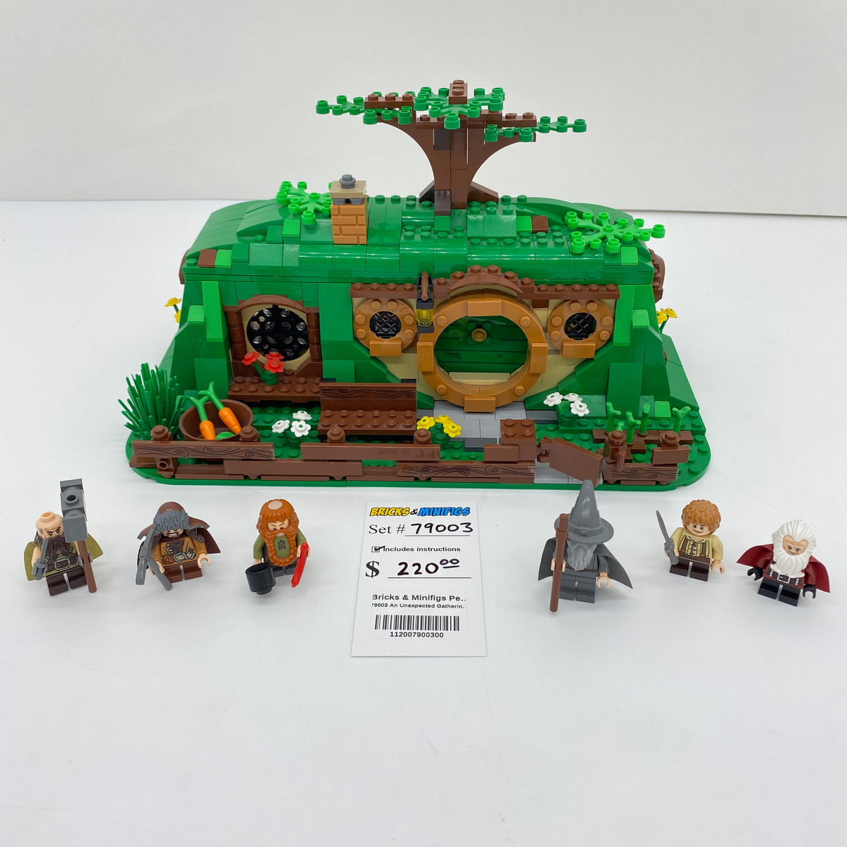 79003 An Unexpected Gathering (U) product image 1, provided for visual reference and product detail review