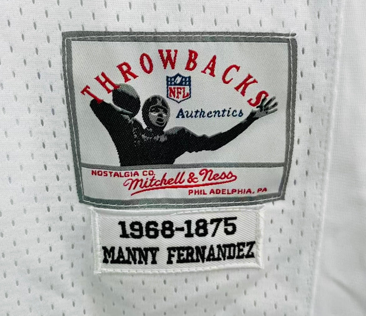 Manny Fernandez Miami Dolphins NFL Mitchell & Ness Jersey product image 3
