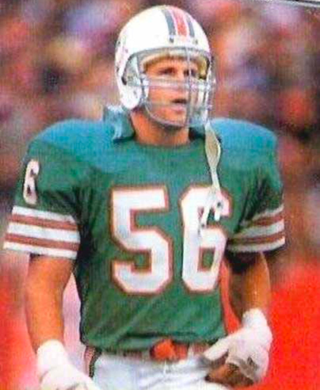 John Offerhahl Miami Dolphins NFL Mitchell & Ness Jersey product image 3