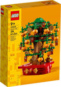 40648 Money Tree product image 1, provided for visual reference and product detail review