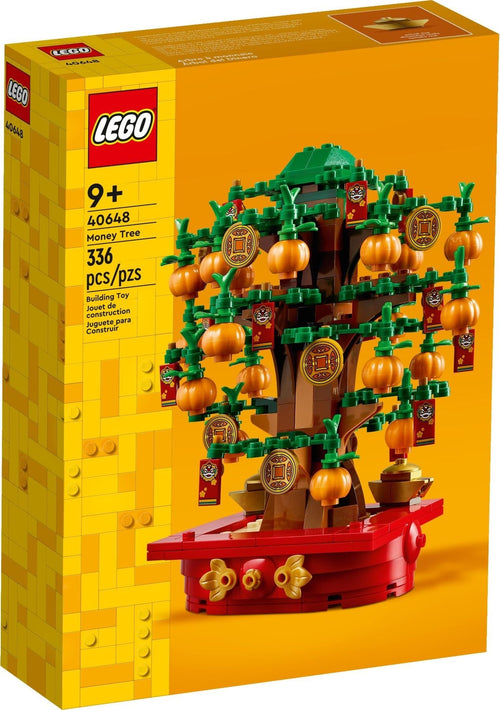 40648 Money Tree product image 1, provided for visual reference and product detail review
