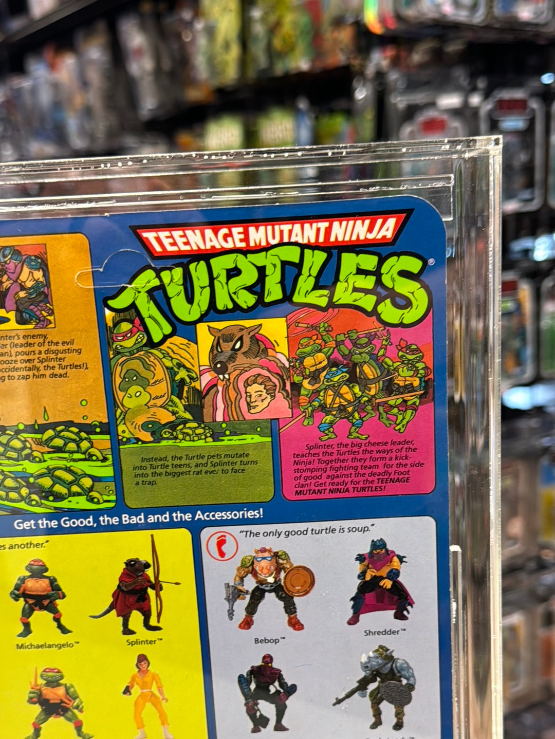 Michaelangelo 10 Back Hard Head (Vintage TMNT Ninja Turtles, Playmates) **CAS Graded 80** product image 8, provided for