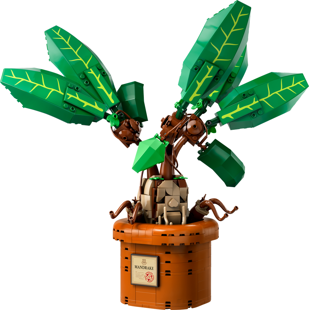 76433 Mandrake product image 2, provided for visual reference and product detail review
