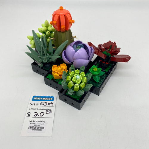 10309 Succulents (U1) product image 1, provided for visual reference and product detail review
