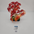 10348 Japanese Red Maple Bonsai Tree (U) product image 1, provided for visual reference and product detail review