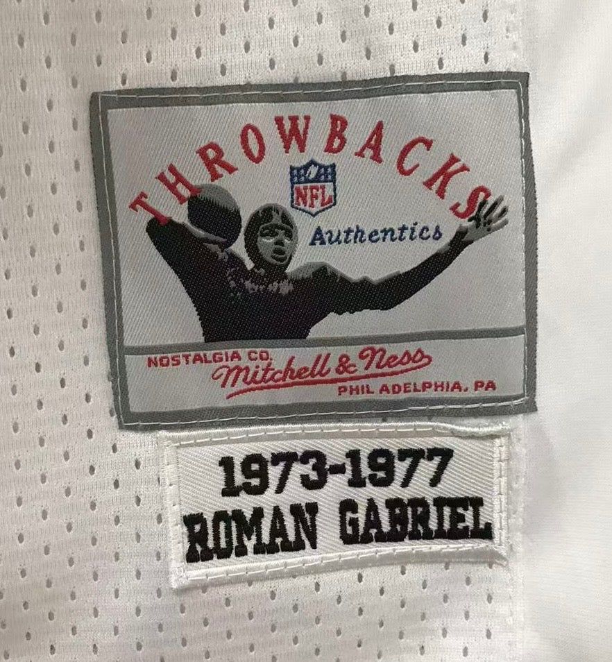 Roman Gabriel Philadelphia Eagles NFL Mitchell & Ness Jersey product image 3