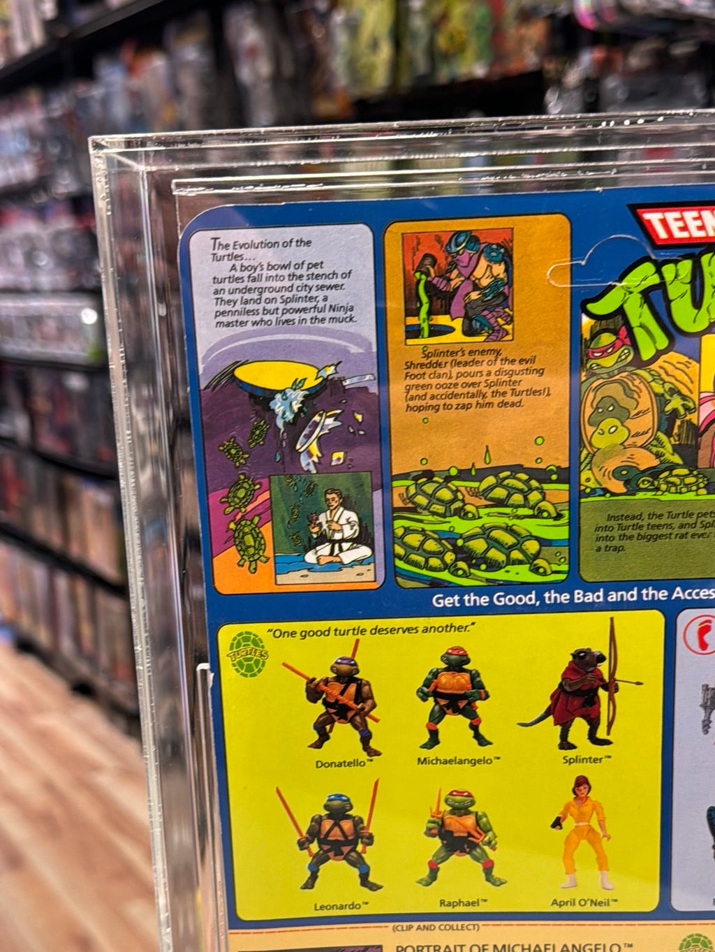 Michaelangelo 10 Back Hard Head (Vintage TMNT Ninja Turtles, Playmates) **CAS Graded 80** product image 7, provided for