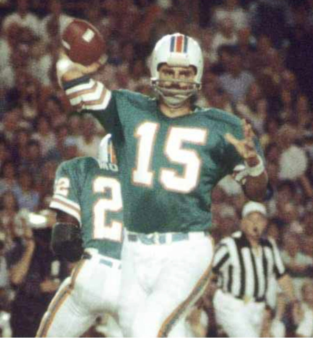 Earl Morrall Miami Dolphins NFL Mitchell & Ness Jersey product image 5