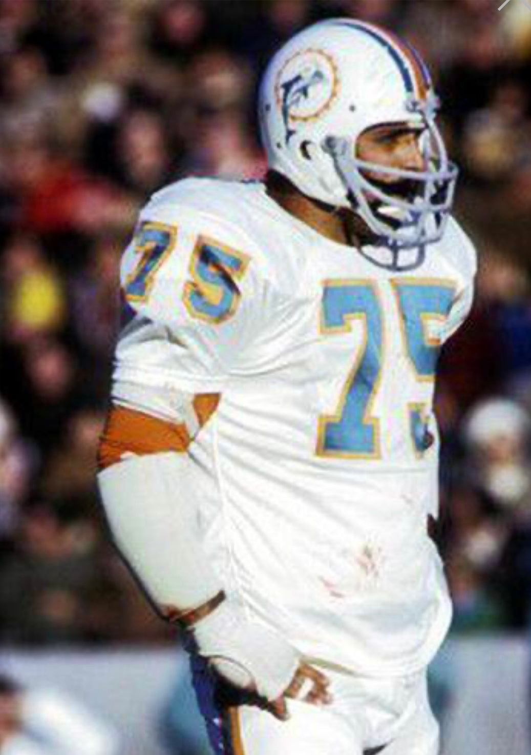 Manny Fernandez Miami Dolphins NFL Mitchell & Ness Jersey product image 4
