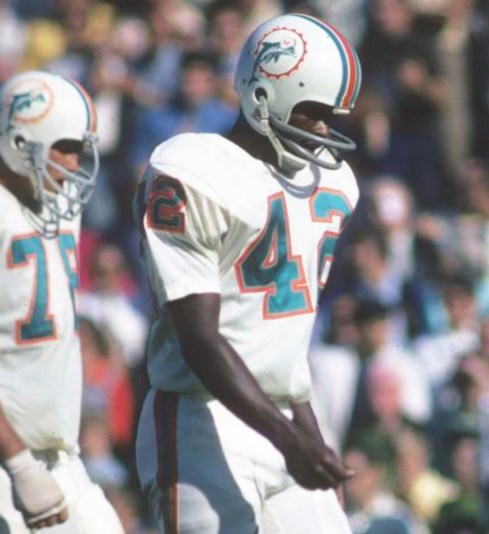 Paul Warfield Miami Dolphins NFL Mitchell & Ness Jersey product image 4