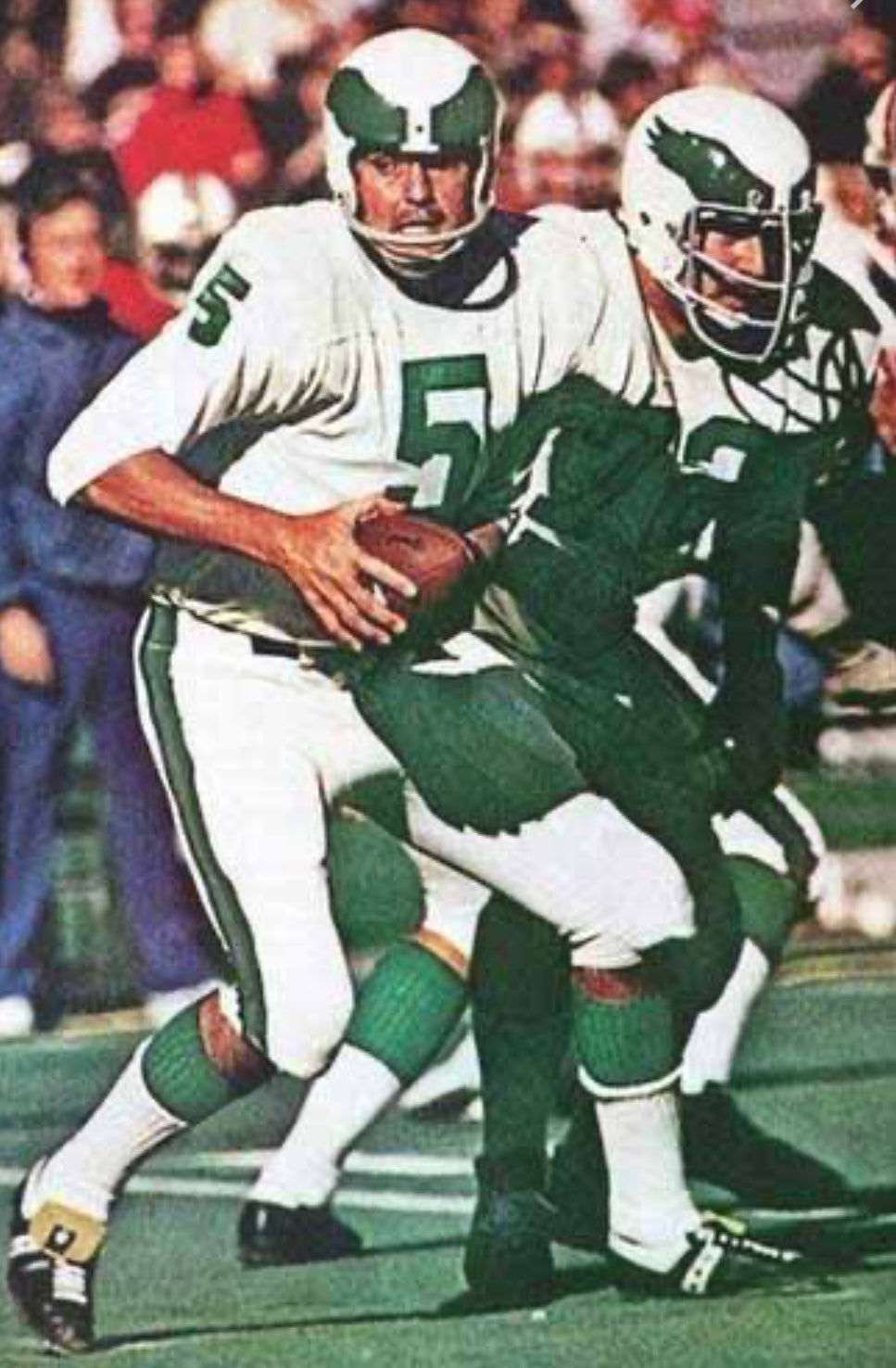 Roman Gabriel Philadelphia Eagles NFL Mitchell & Ness Jersey product image 4