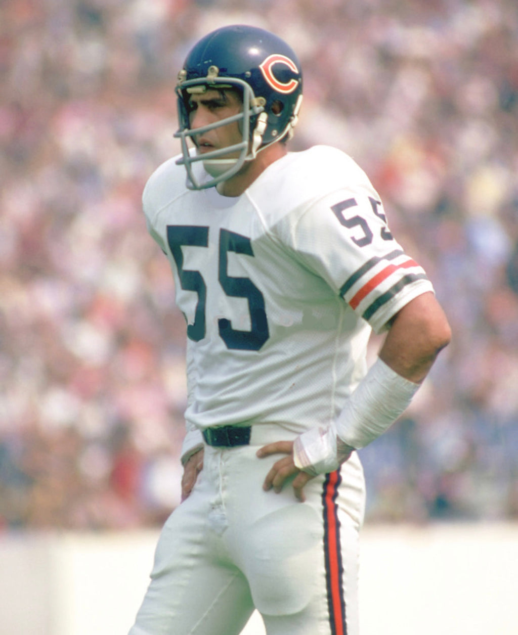 Doug Buffone Chicago Bears NFL Mitchell & Ness Jersey white product image 4