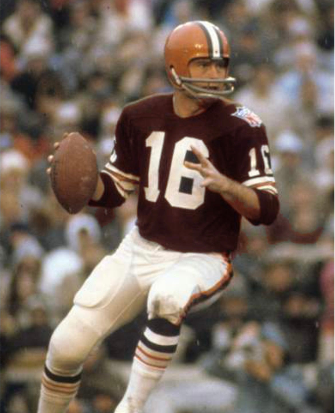 Bill Nelsen 1969 Cleveland Browns Official NFL Mitchell & product image 4