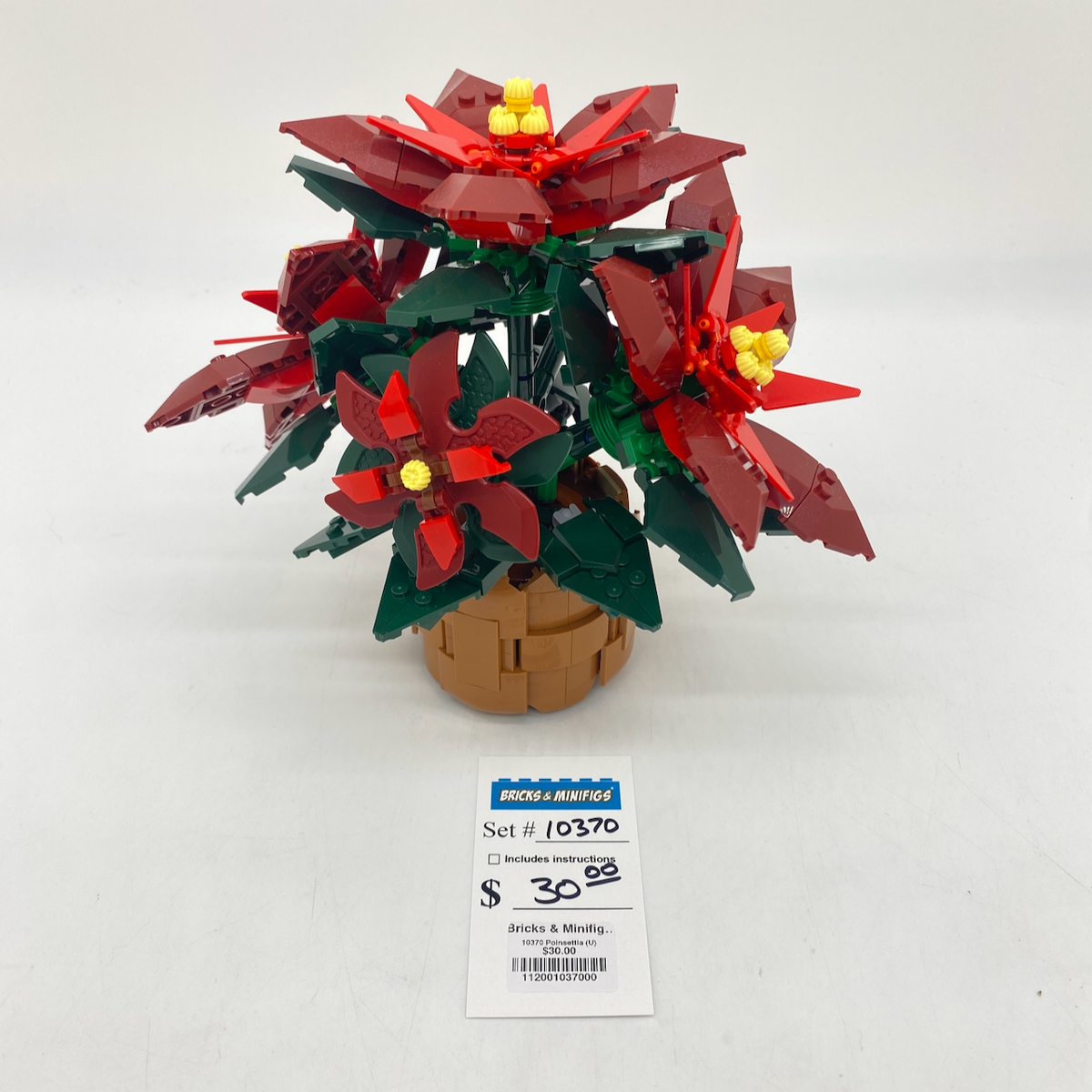 10370 Poinsettia (U) product image 1, provided for visual reference and product detail review