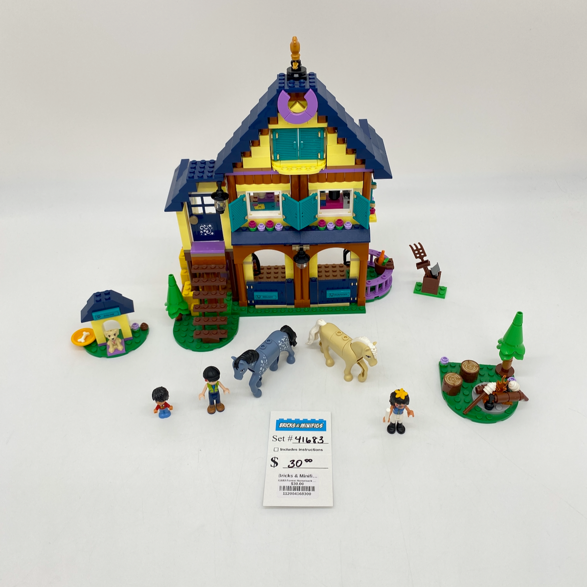41683 Forest Horseback Riding Center (U) product image 1, provided for visual reference and product detail review