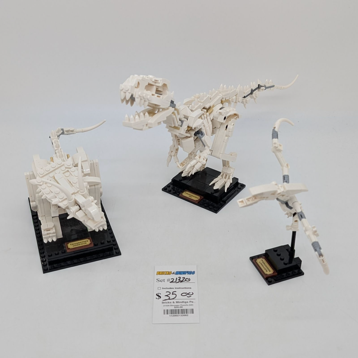 21320 Dinosaur Fossils (U2) product image 1, provided for visual reference and product detail review