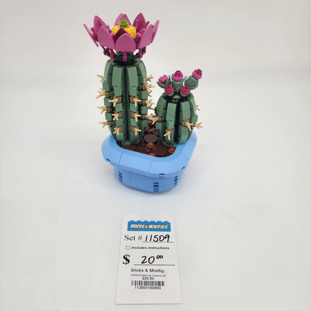11509 Flowering Cactus (U) product image 1, provided for visual reference and product detail review