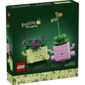 11506 Rocking Plants product image 1, provided for visual reference and product detail review