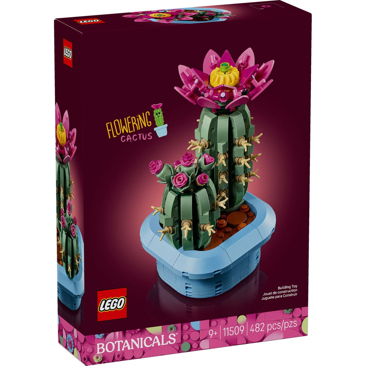 11509 Flowering Cactus product image 1, provided for visual reference and product detail review