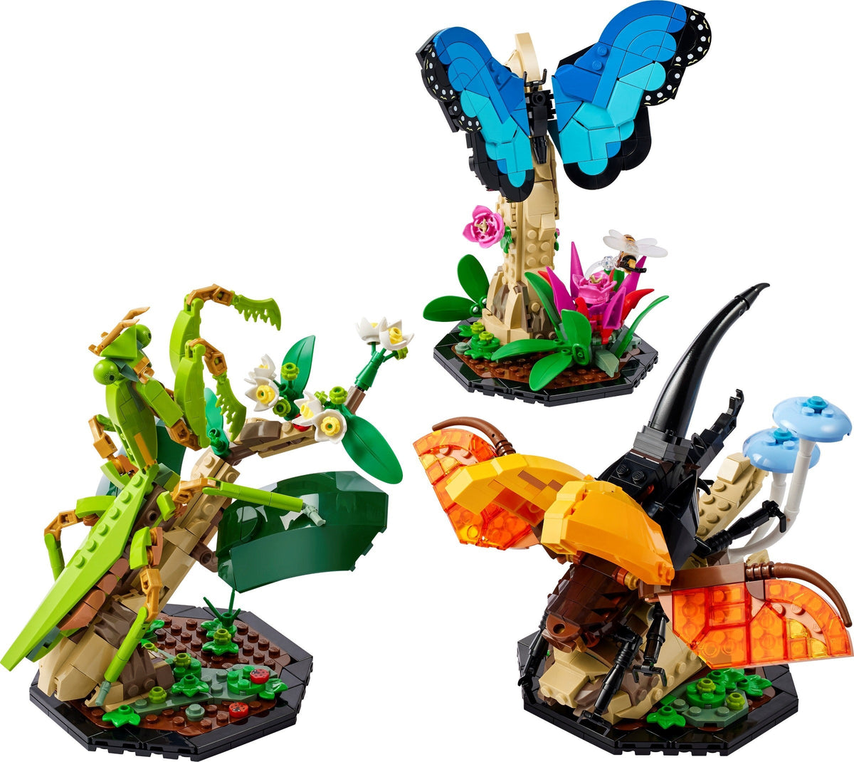 21342 The Insect Collection product image 3, provided for visual reference and product detail review