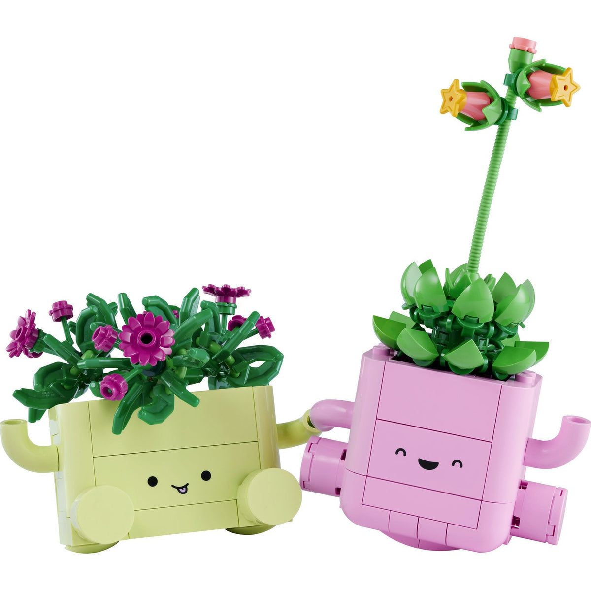 11506 Rocking Plants product image 3, provided for visual reference and product detail review