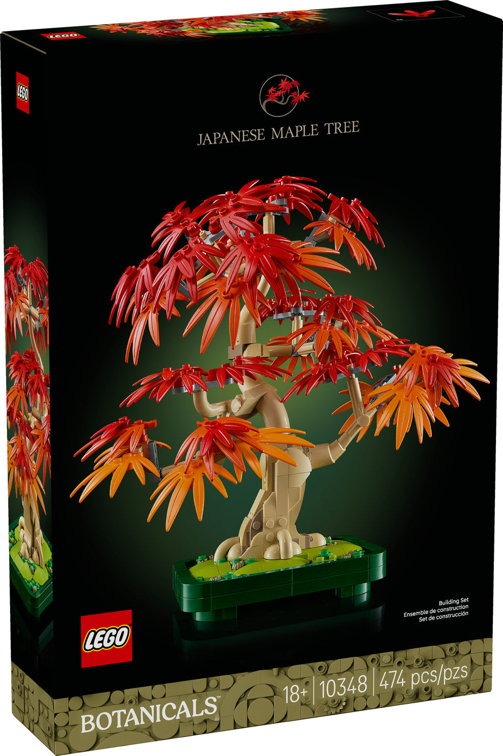 10348 Japanese Red Maple Bonsai Tree product image 1, provided for visual reference and product detail review