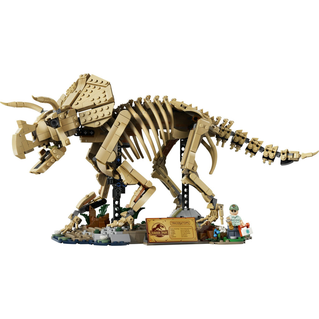 77985 Dinosaur Fossils: Triceratops product image 3, provided for visual reference and product detail review