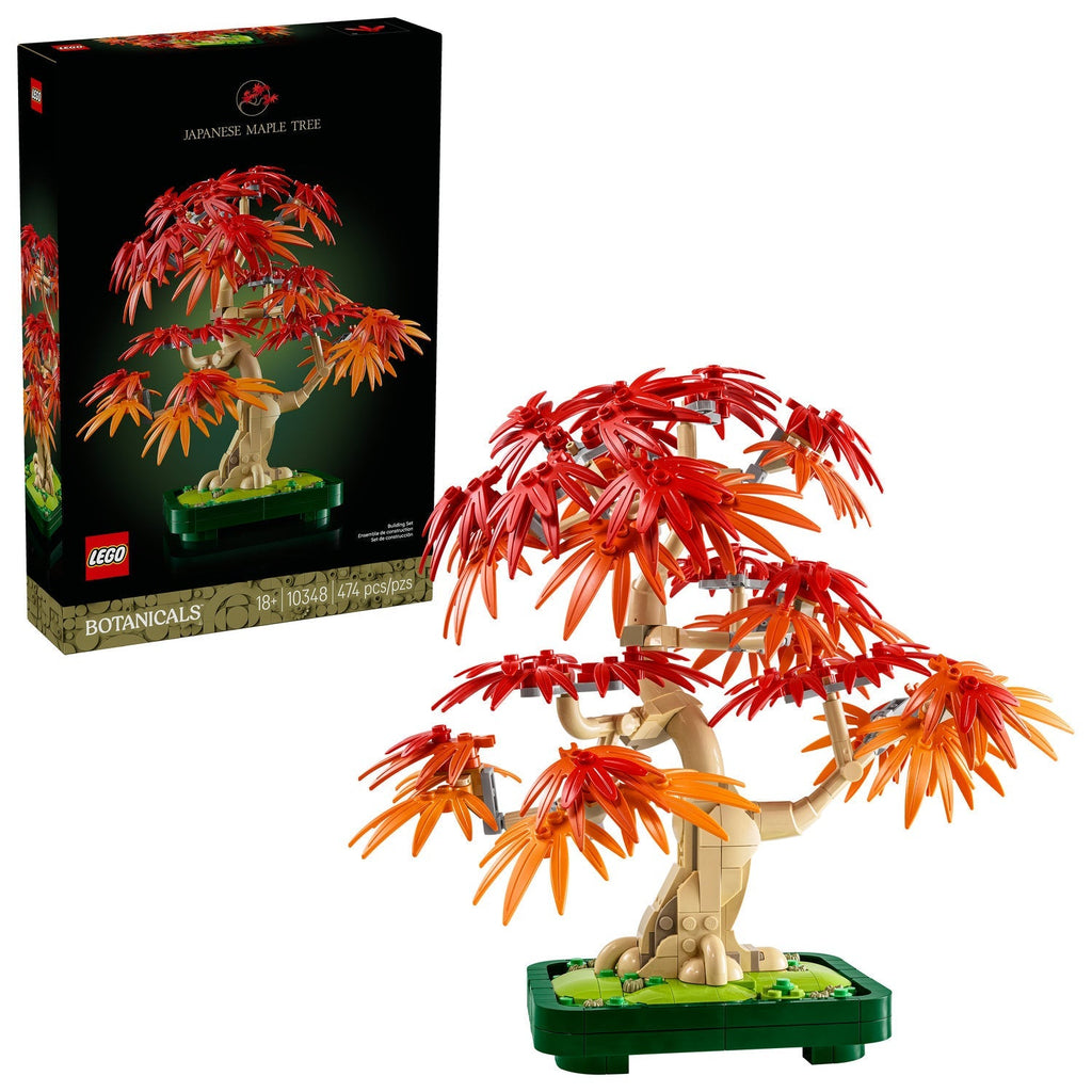 10348 Japanese Red Maple Bonsai Tree product image 2, provided for visual reference and product detail review